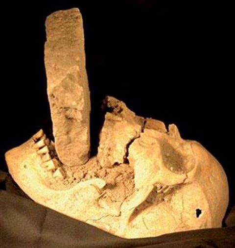 1012202_363059340486353_219898514_n